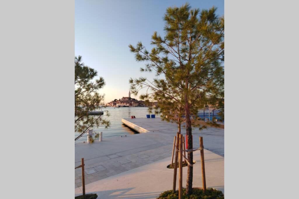 Apartman Sertic Nenad Rovinj Exterior foto